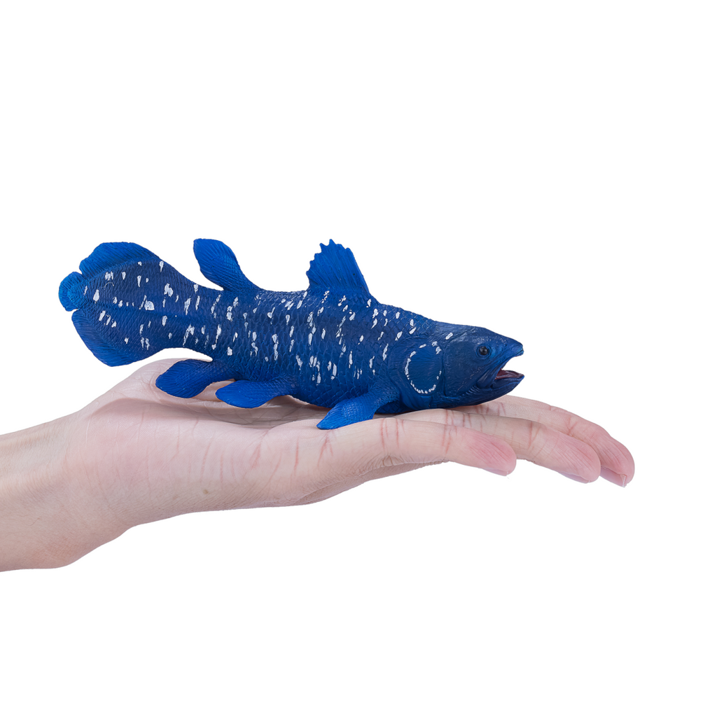 Coelacanth Toy  Realistic Prehistoric Fish Model