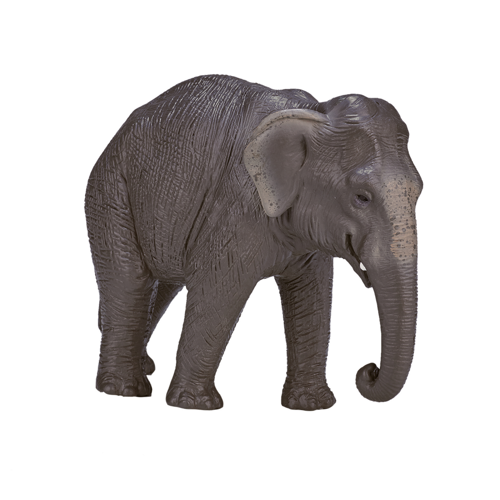 Asian Elephant Toy Figure  Realistic Wildlife Model