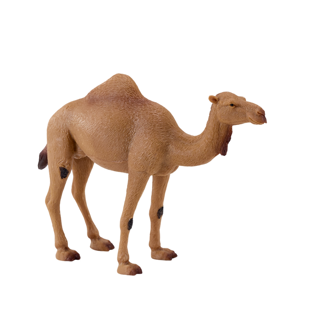 Arabian Camel Toy  Realistic Desert Animal Model