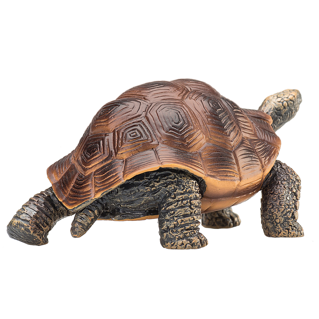 Giant Tortoise Toy  Realistic Reptile Model
