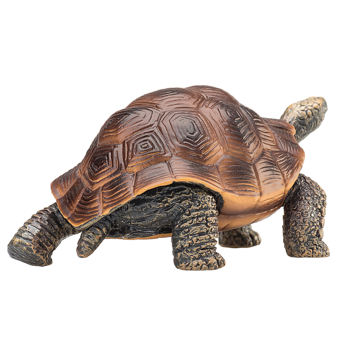 Giant Tortoise Toy  Realistic Reptile Model