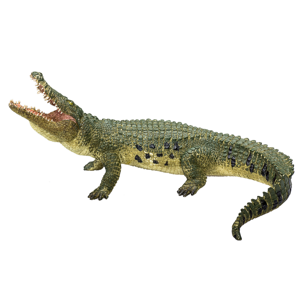 Crocodile with Articulated Jaw  Realistic Reptile Model