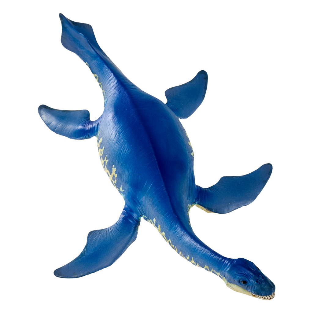 Cryptoclidus Dinosaur Toy  Prehistoric Marine Reptile