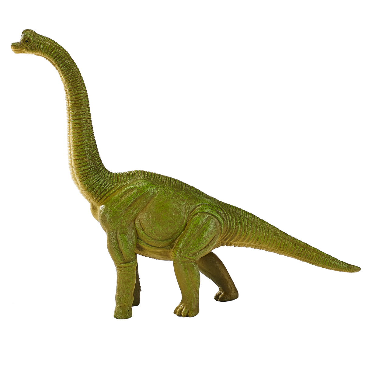 Brachiosaurus Dinosaur Toy  Realistic Prehistoric Model