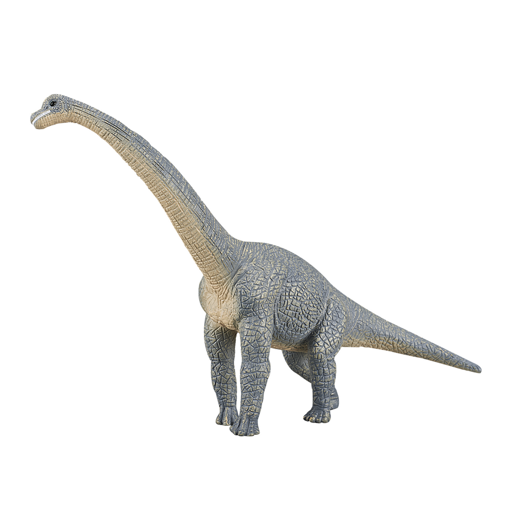 Brachiosaurus Dinosaur Toy  Realistic Prehistoric Figure