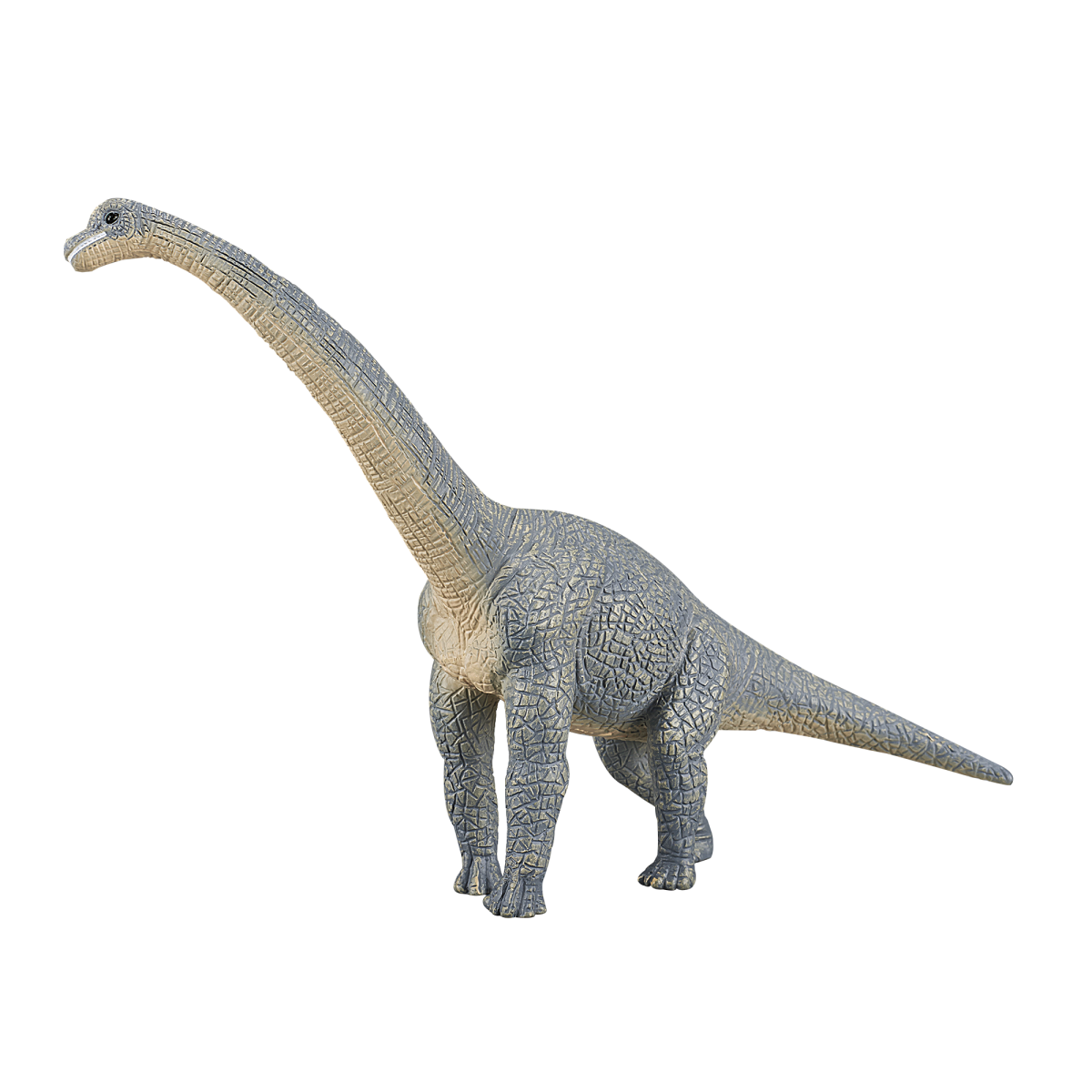 Brachiosaurus Dinosaur Toy  Realistic Prehistoric Figure