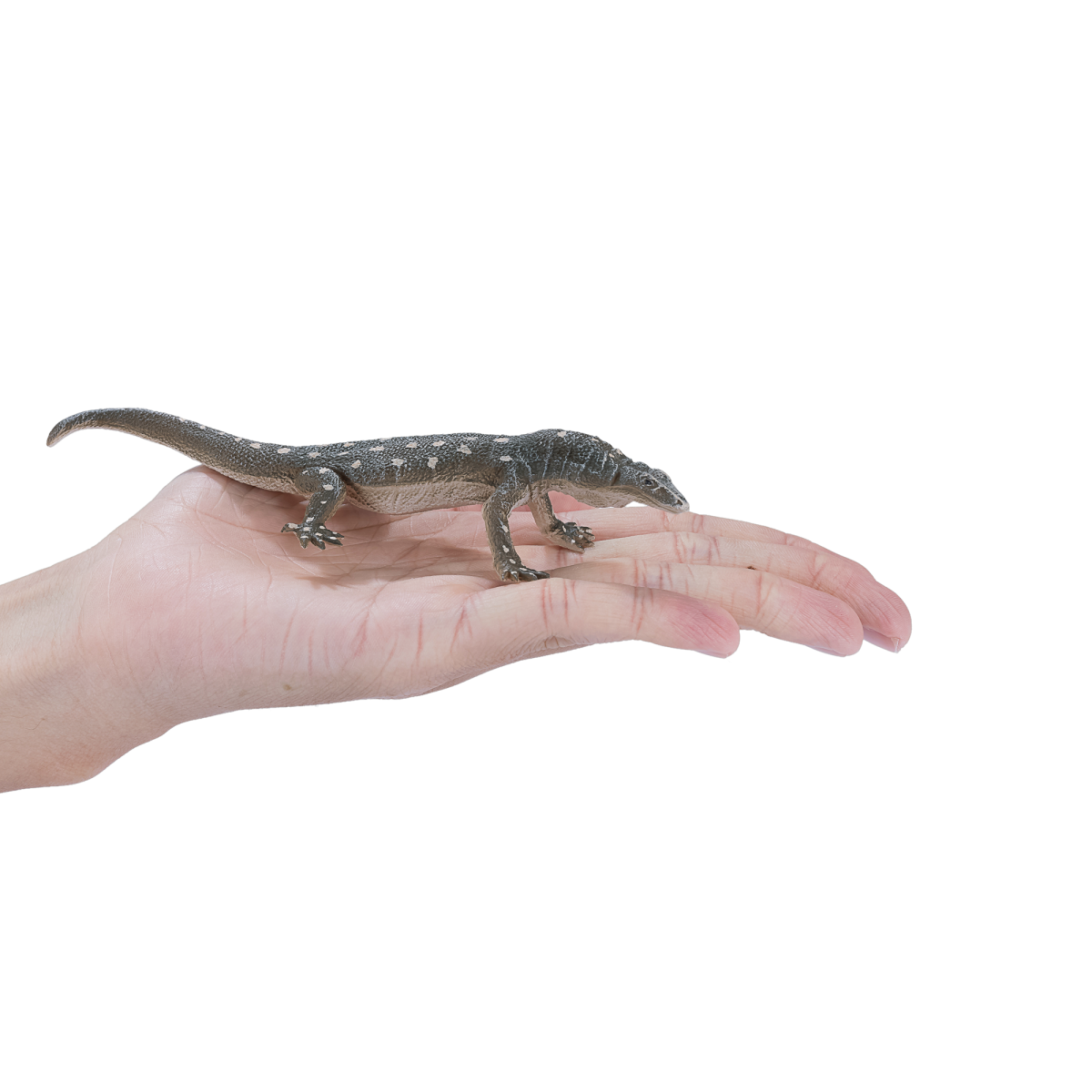 Perentie Lizard Toy  Realistic Reptile Figurine