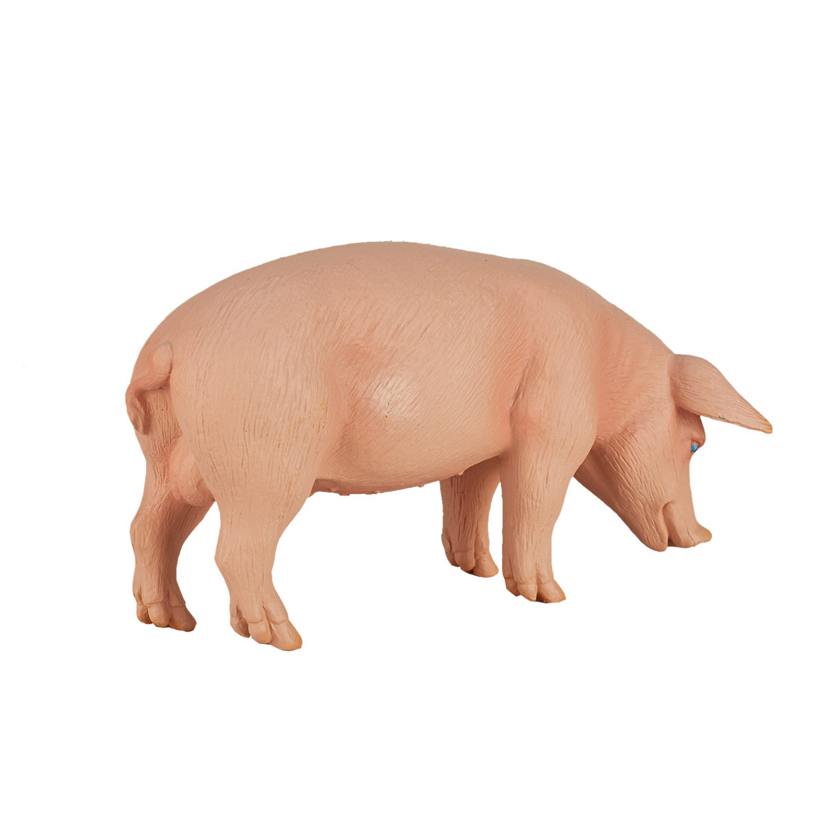 Wild Boar Pig Toy  Realistic Farm & Forest Animal Figure