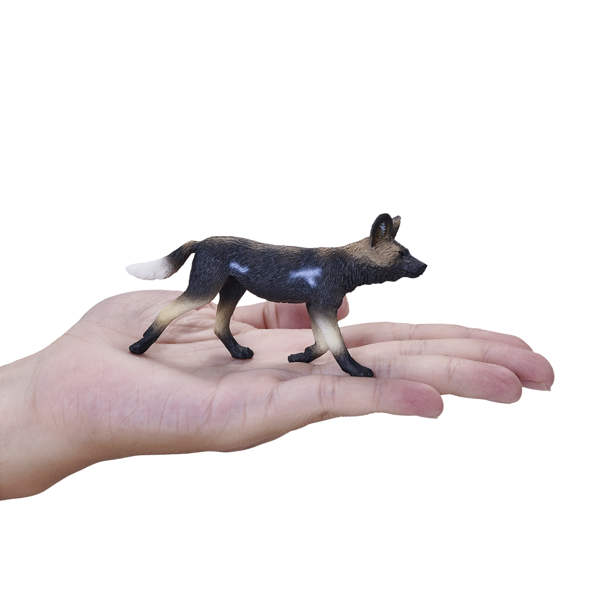 African Painted Dog Toy  Realistic Wildlife Animal Model