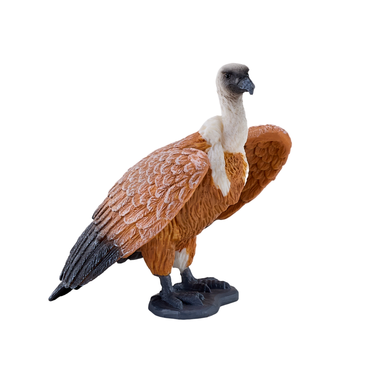Griffon Vulture Toy  Realistic Bird of Prey Model