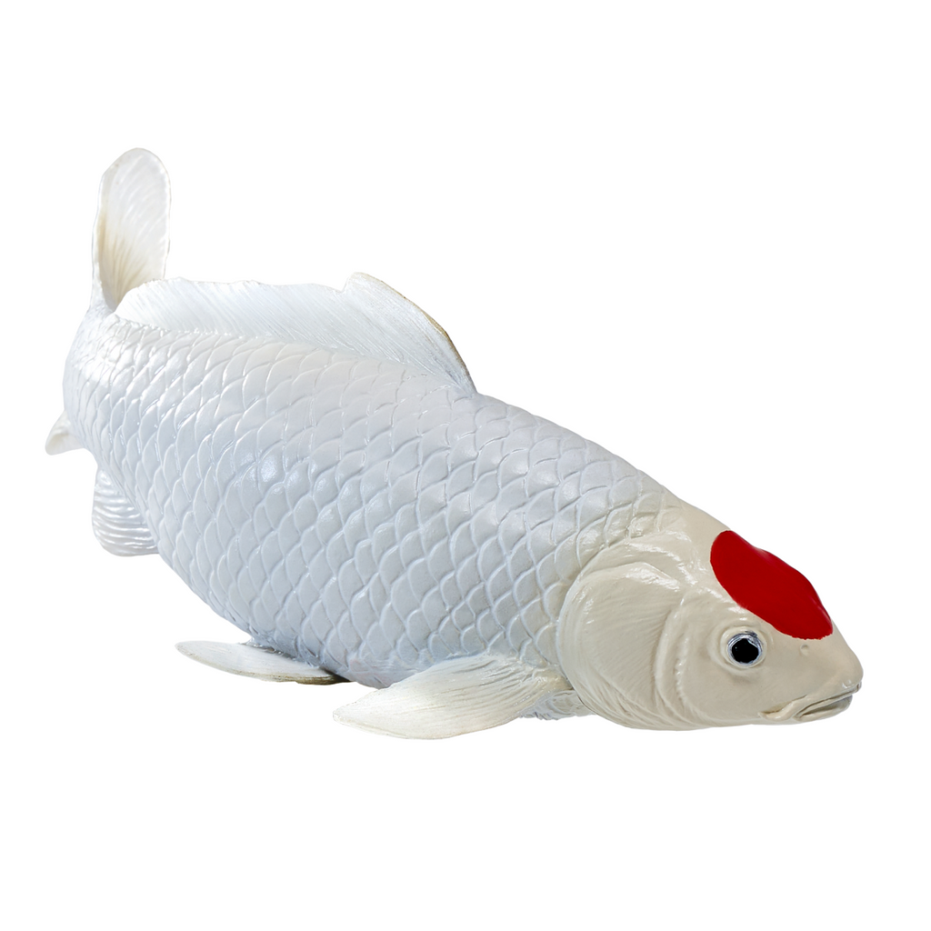 Tancho Koi
