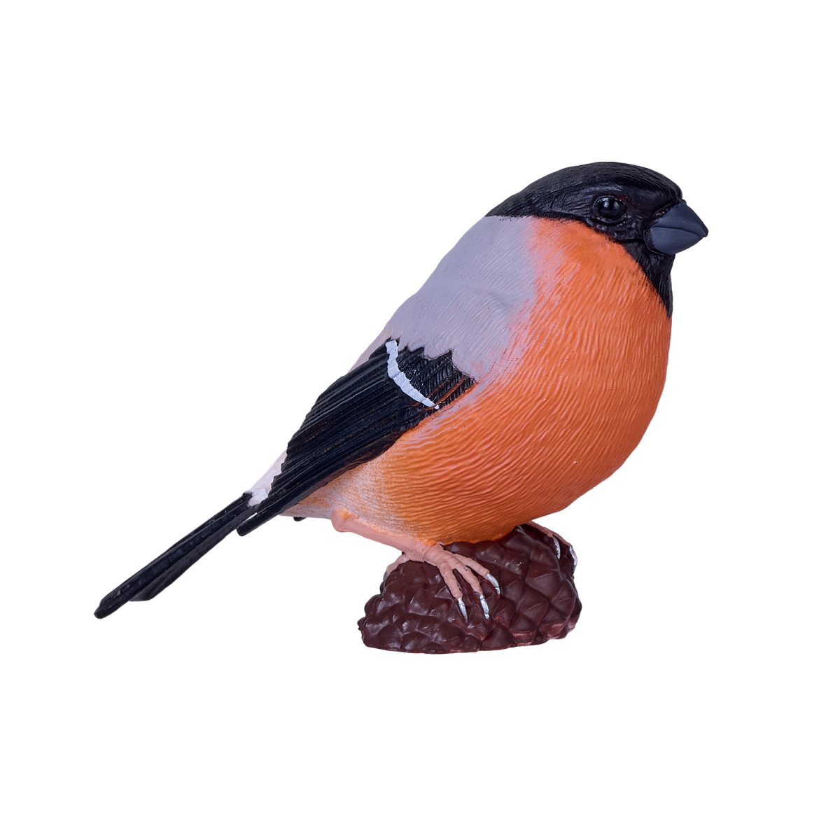 European Bullfinch