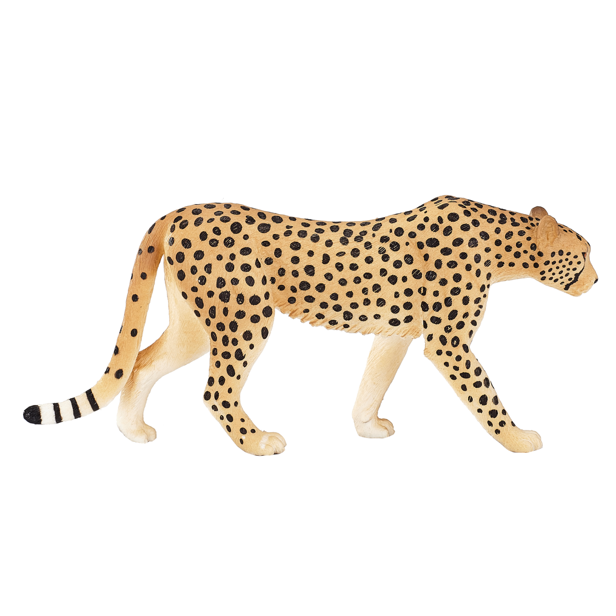 Male Cheetah Toy  Realistic African Wildlife Figurine