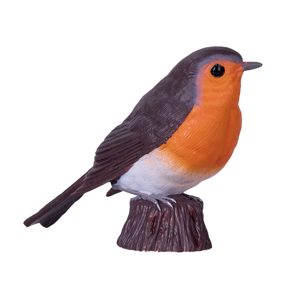 European Robin