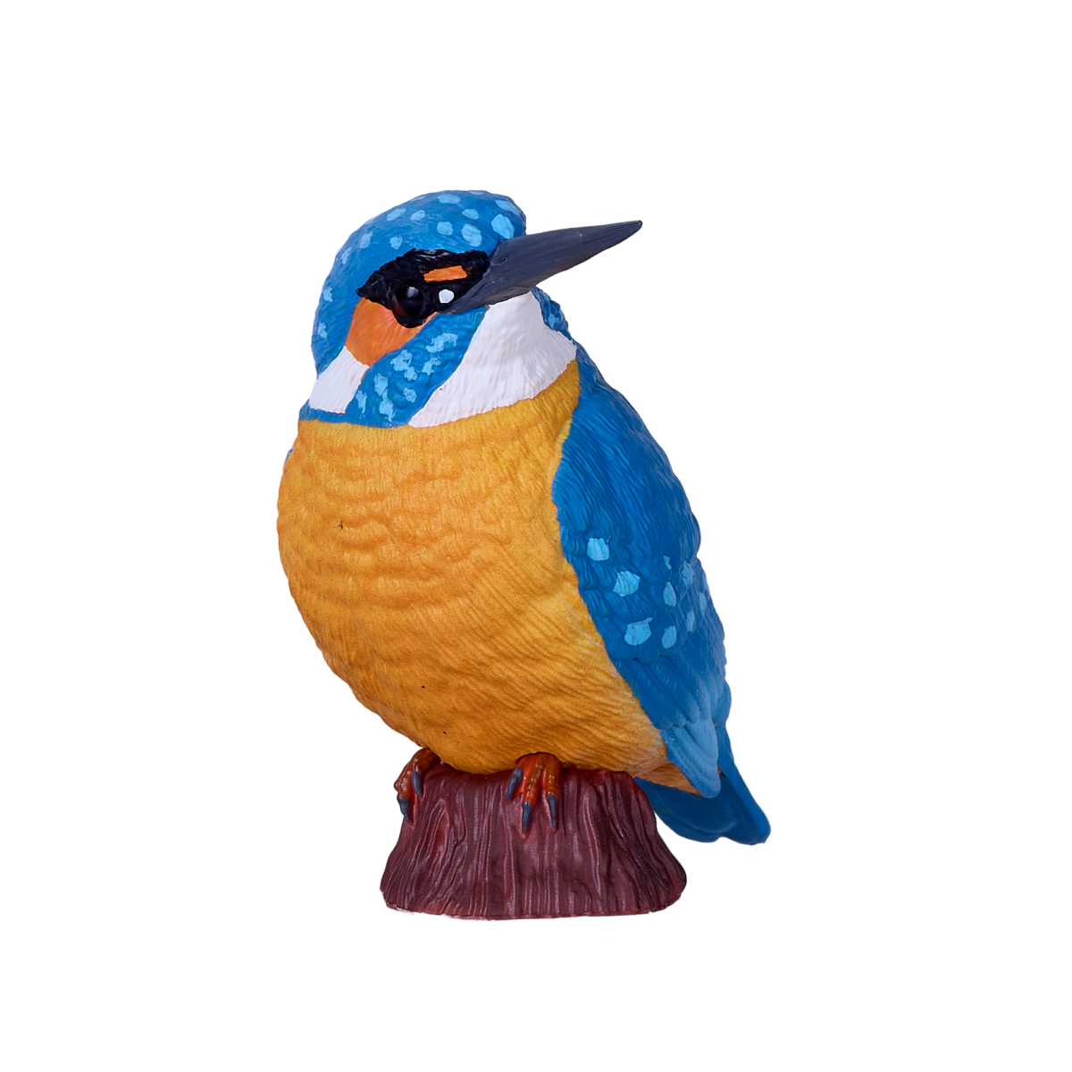 Common Kingfisher