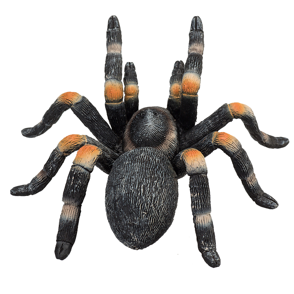 Red-Kneed Tarantula Toy  Realistic Spider Figurine
