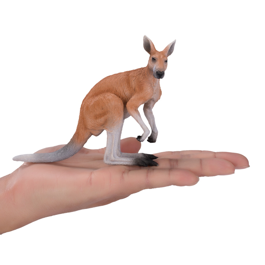 Kangaroo Toy  Realistic Australian Wildlife Model