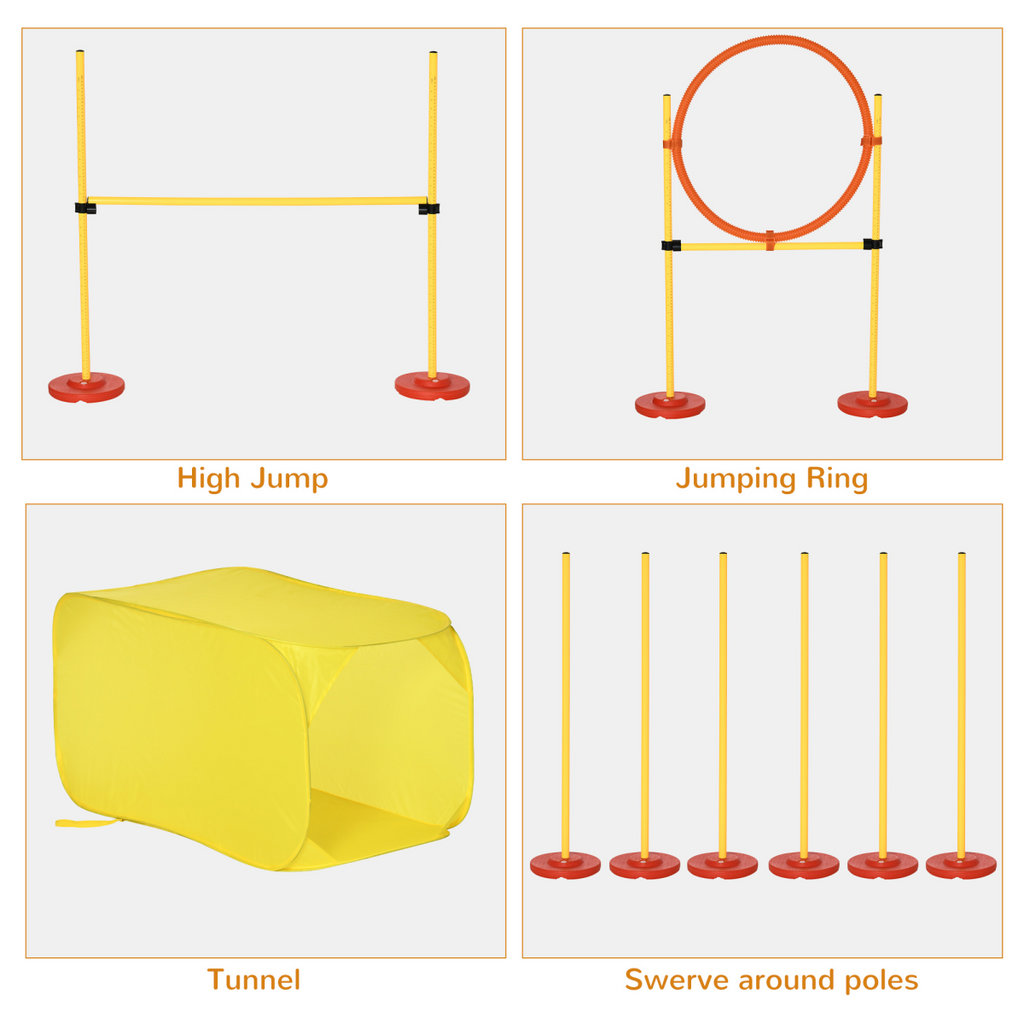 Dog agility training equipment