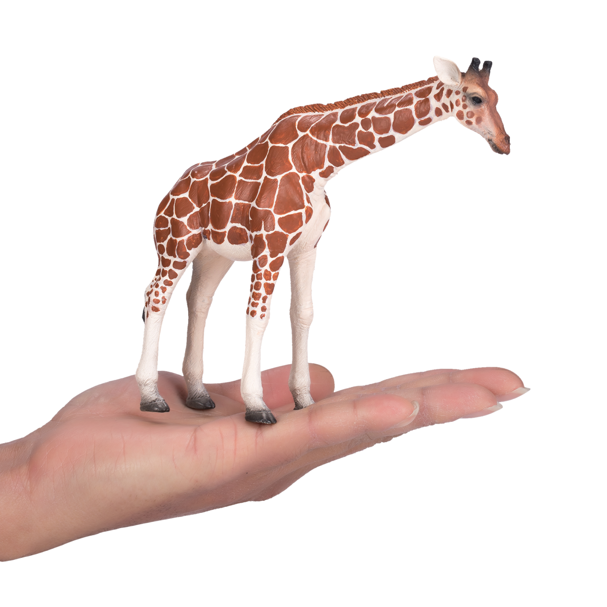 Giraffe Female Toy  Realistic African Wildlife Figure
