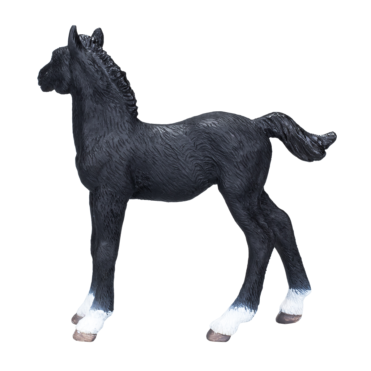 Hanoverian Foal Black  Realistic Equestrian Figurine