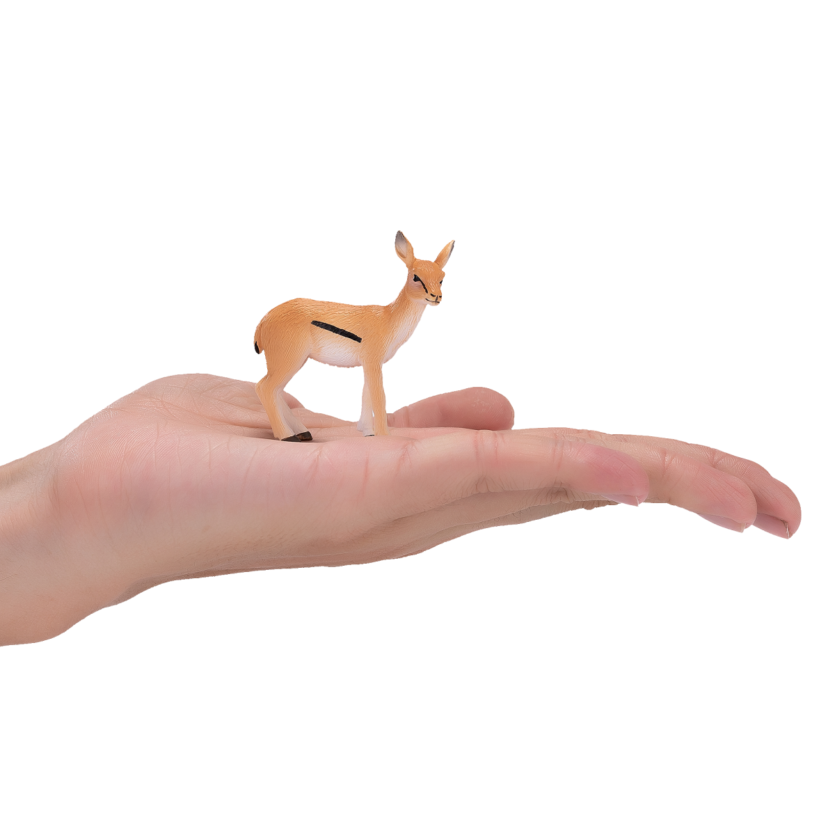 Thomson Gazelle Calf Toy  Realistic Wildlife Figurine