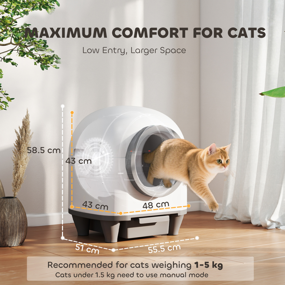 Cat Litter Box