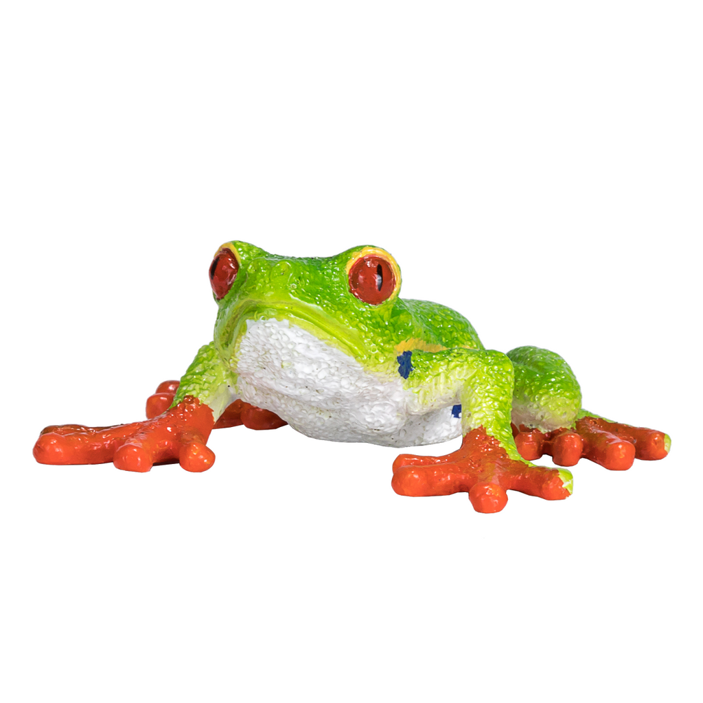 Red-Eyed Tree Frog Toy  Realistic Rainforest Amphibian Figure