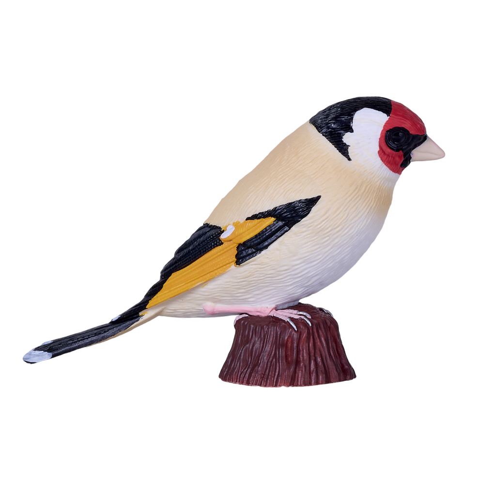 European Goldfinch