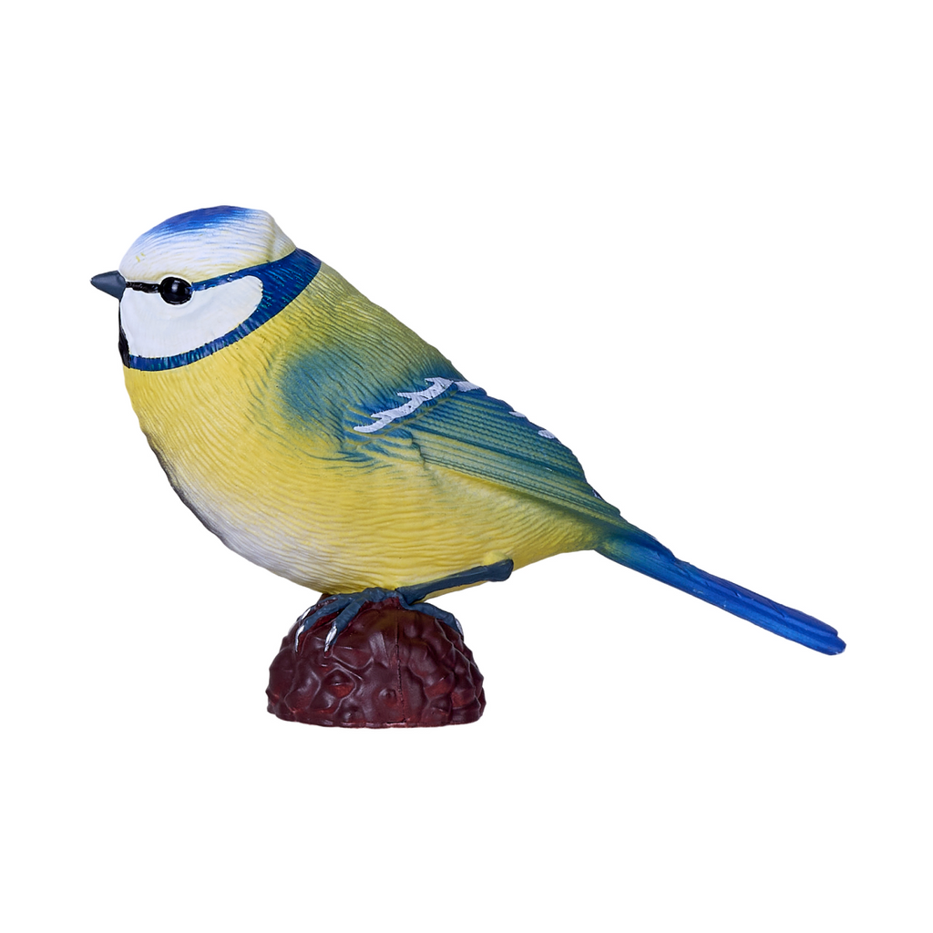 Blue Tit