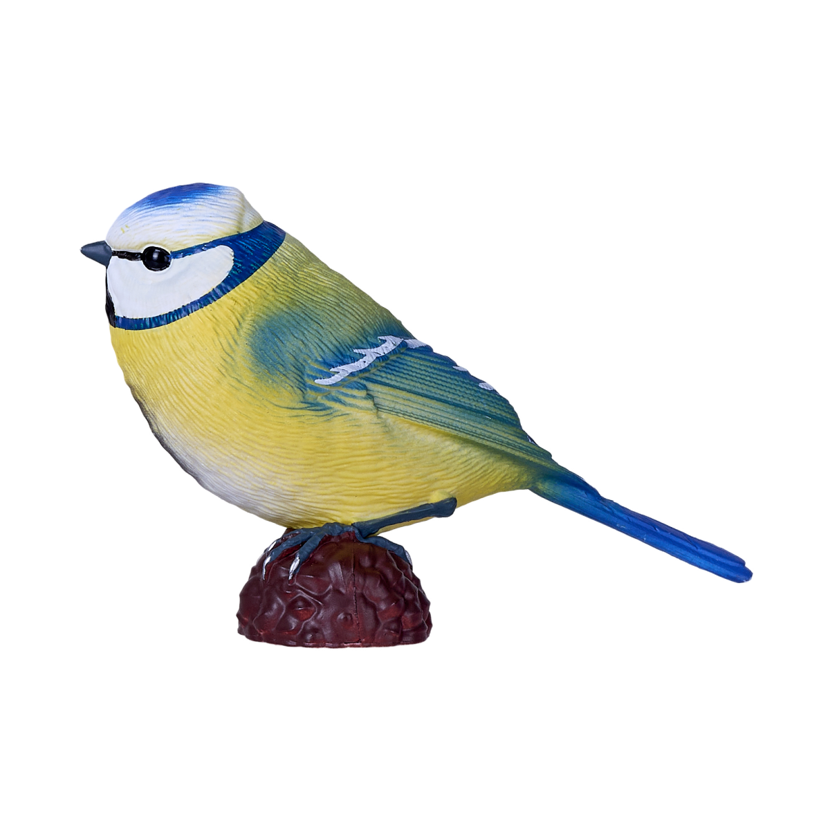 Blue Tit