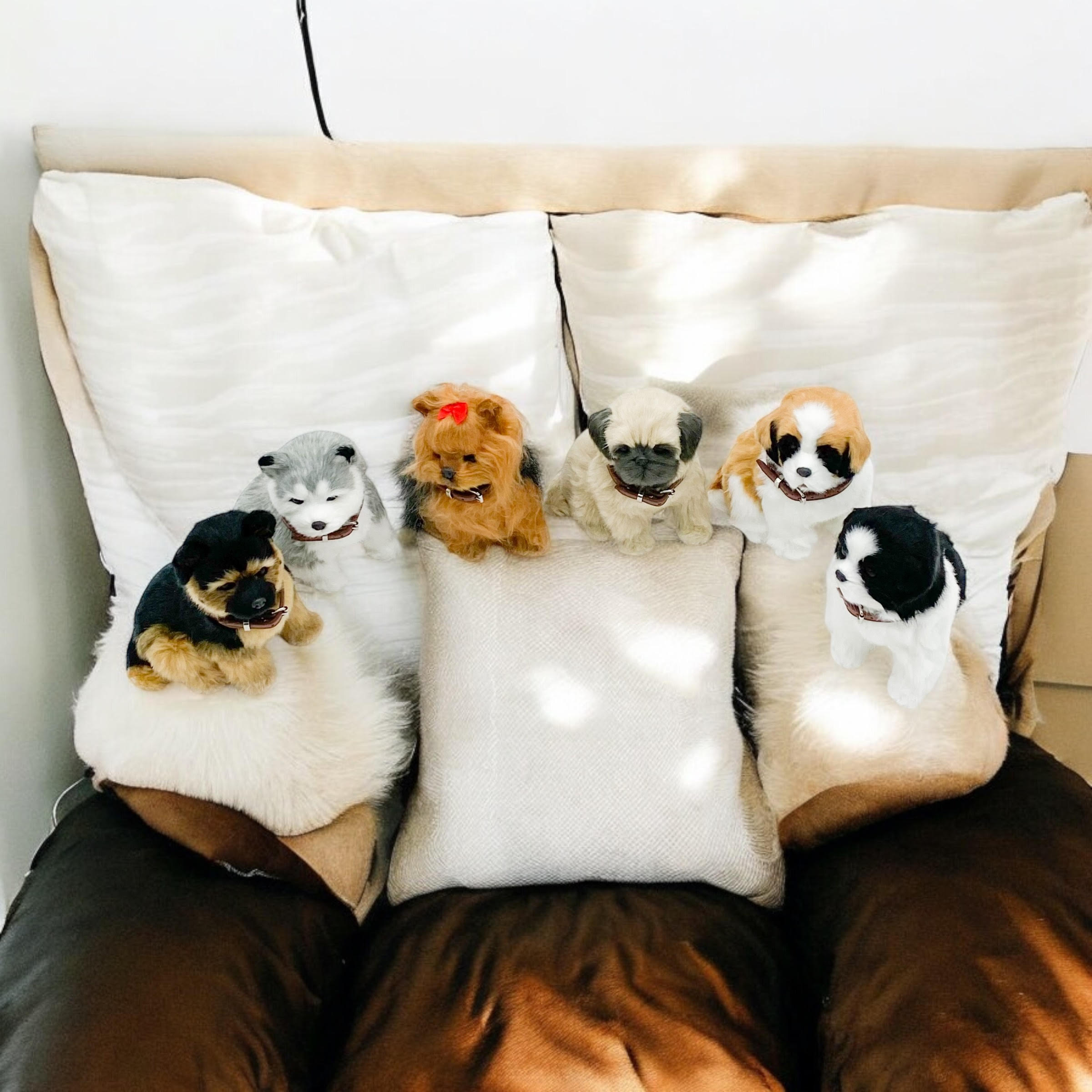 18cm Sitting Puppies-6 Asst Colour