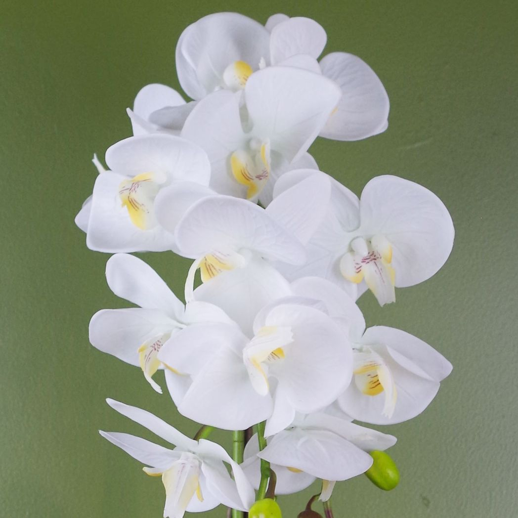 52cm Artificial Orchid Large White and Gold
