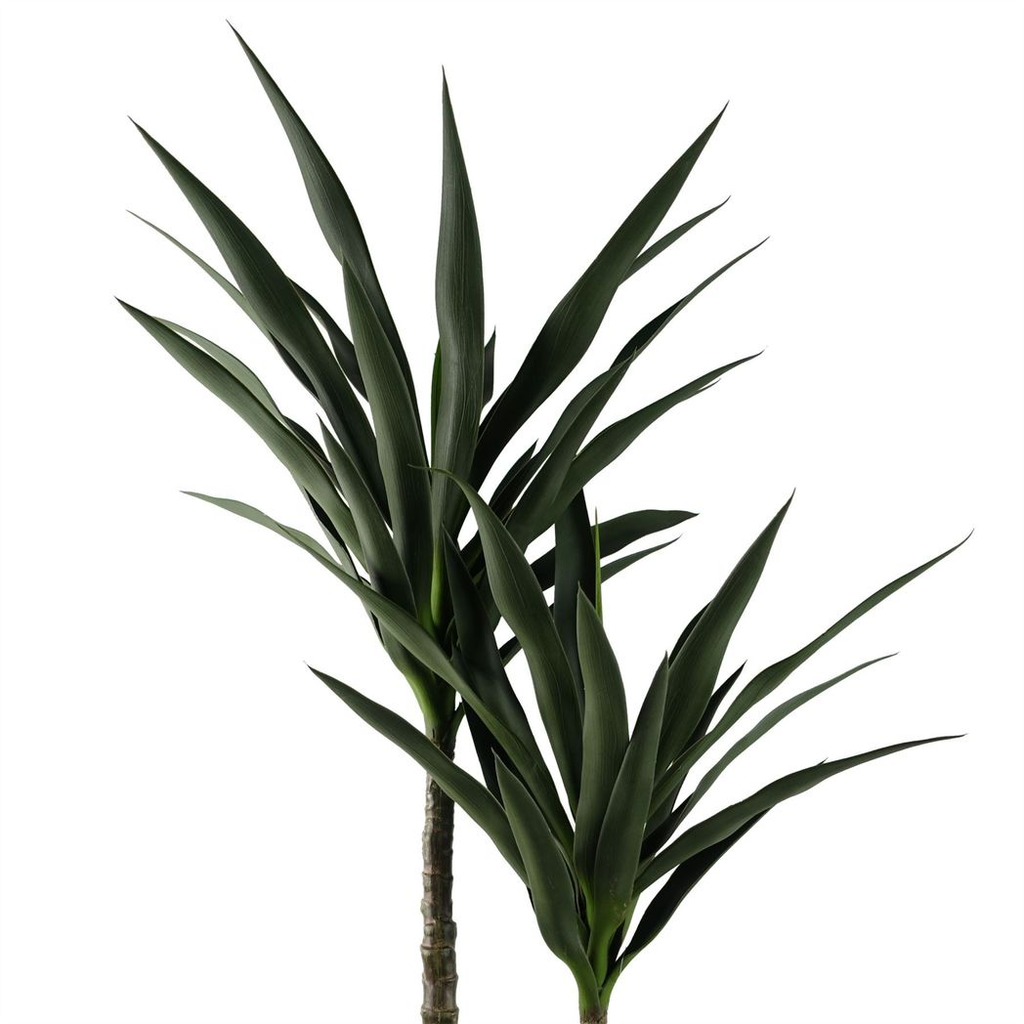 120cm Yucca Tree UV Resistant Outdoor