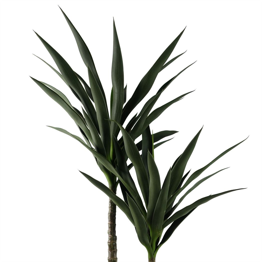 120cm Yucca Tree UV Resistant Outdoor