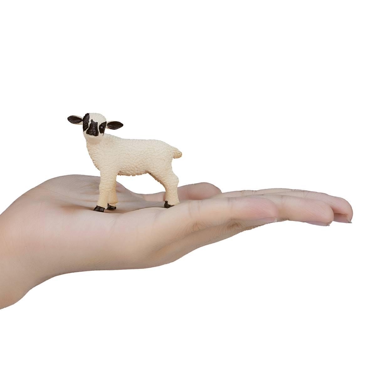 Black-Faced Lamb Standing  Realistic Farm Animal Figure