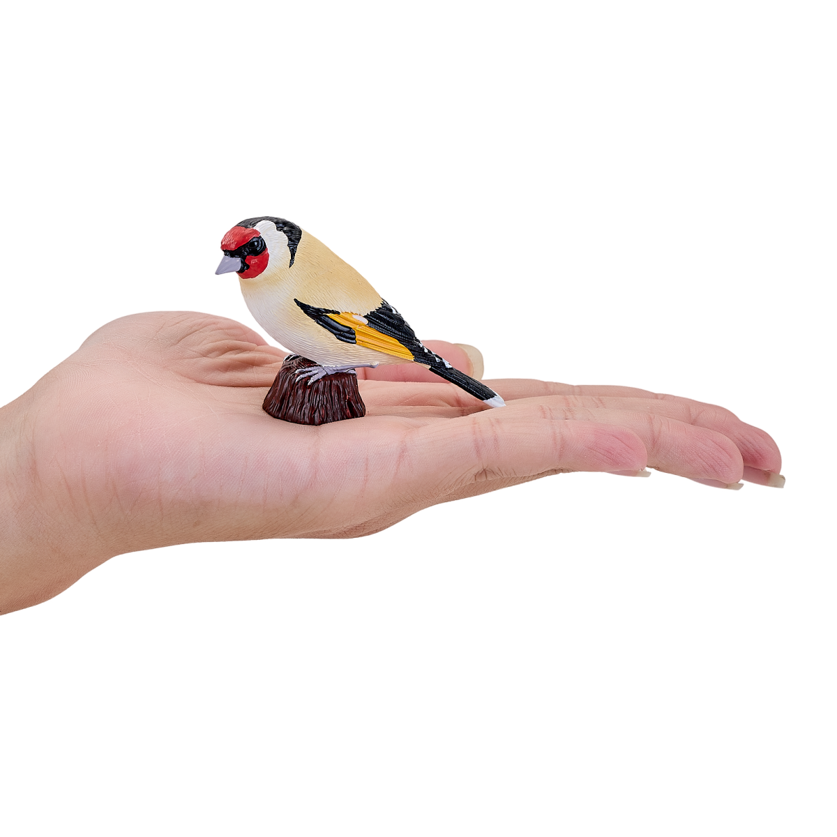 European Goldfinch Bird Toy  Realistic Wildlife Figure