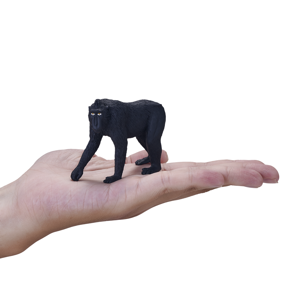 Black Crested Macaque Toy  Realistic Primate Figurine