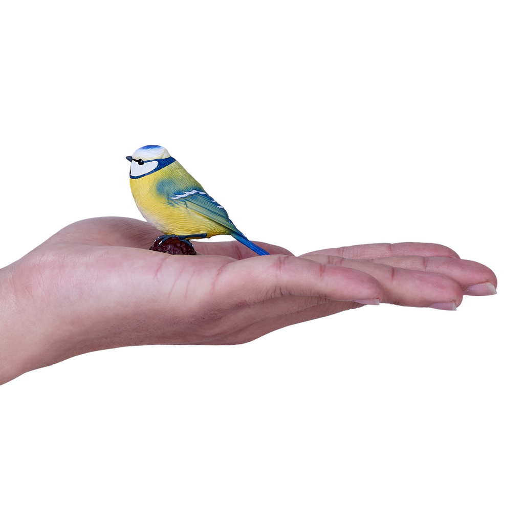 Blue Tit