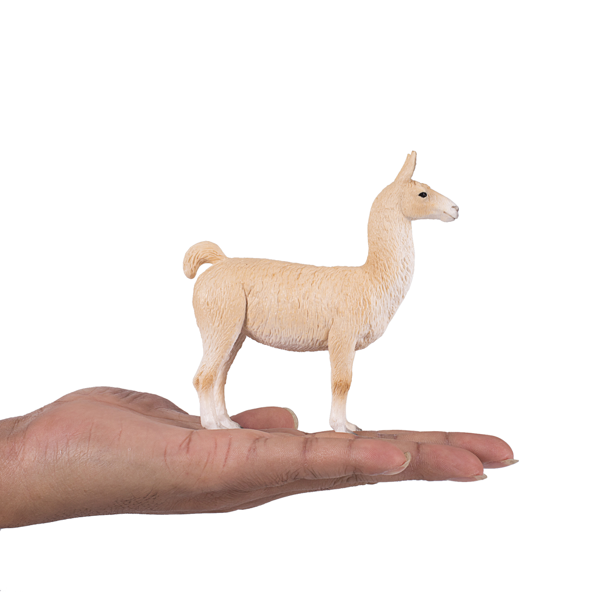 Llama Toy Figure  Realistic Farm Animal Model