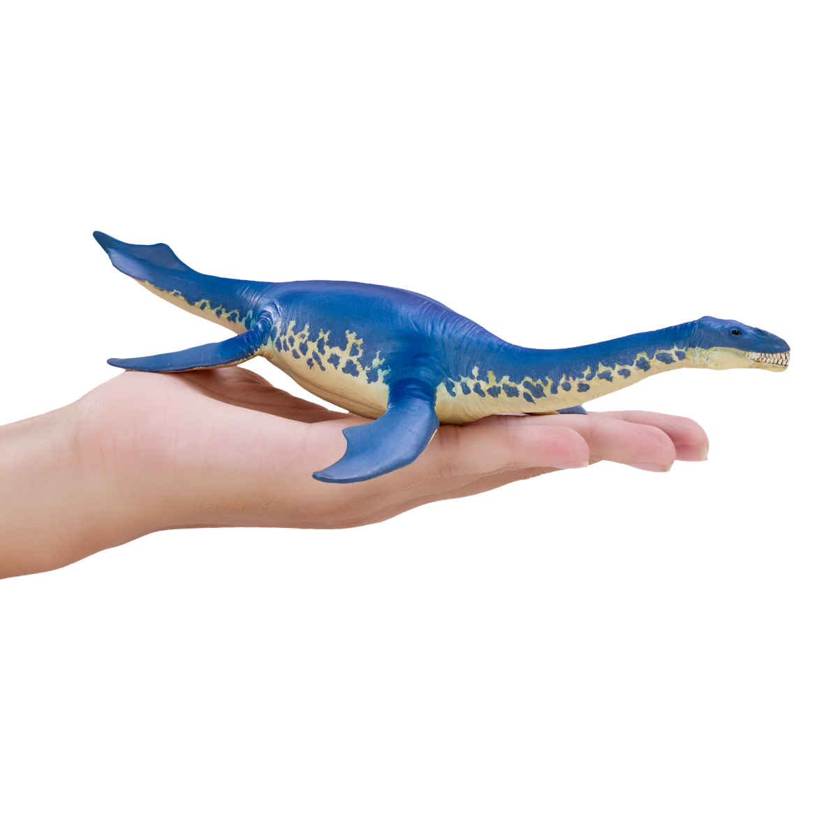 Cryptoclidus Dinosaur Toy  Prehistoric Marine Reptile