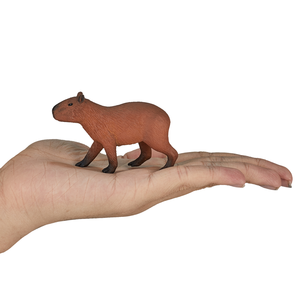 Capybara Toy  Realistic Wildlife Animal Figurine