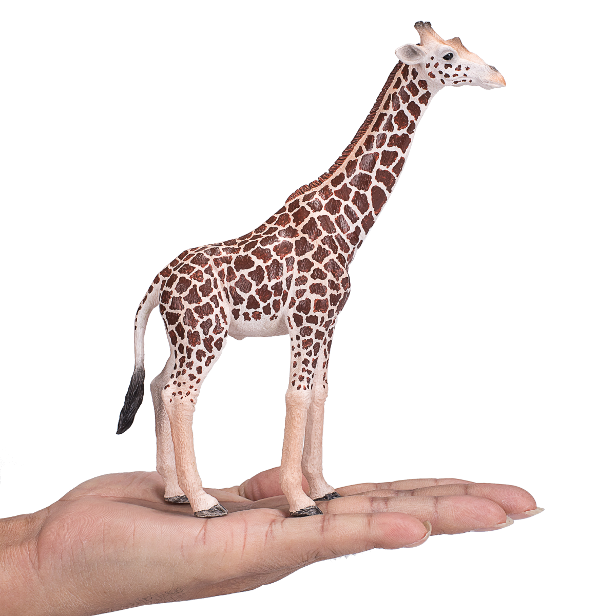 Giraffe Male Toy  Realistic African Wildlife Figure