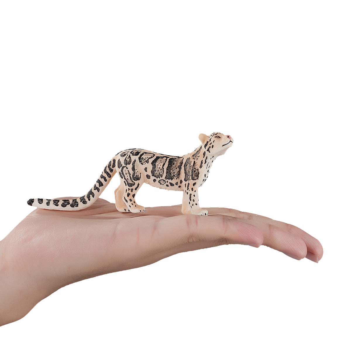 Clouded Leopard Toy  Realistic Big Cat Model