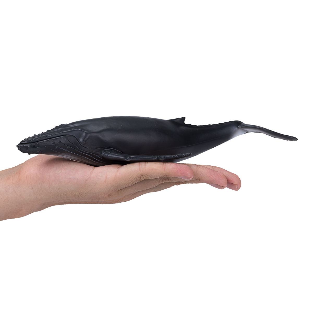Humpback Whale Toy  Realistic Ocean Mammal Figurine