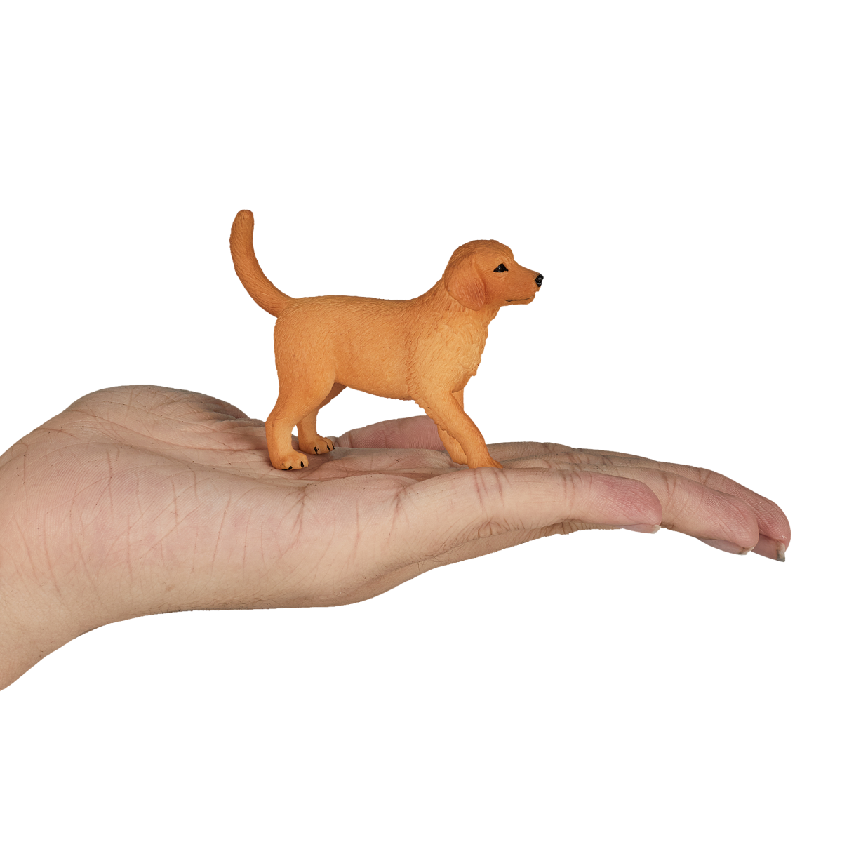 Golden Retriever Puppy Toy  Realistic Pet Figurine