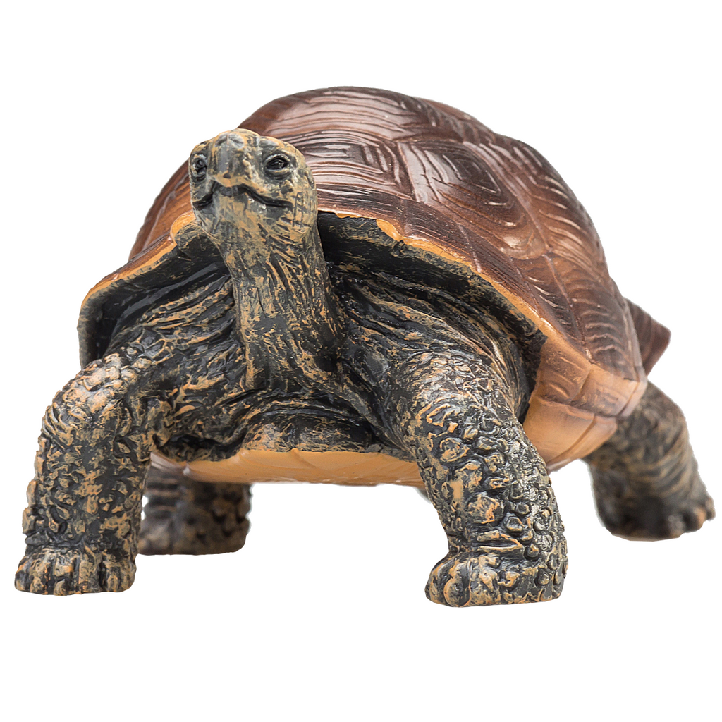 Giant Tortoise Toy  Realistic Reptile Model