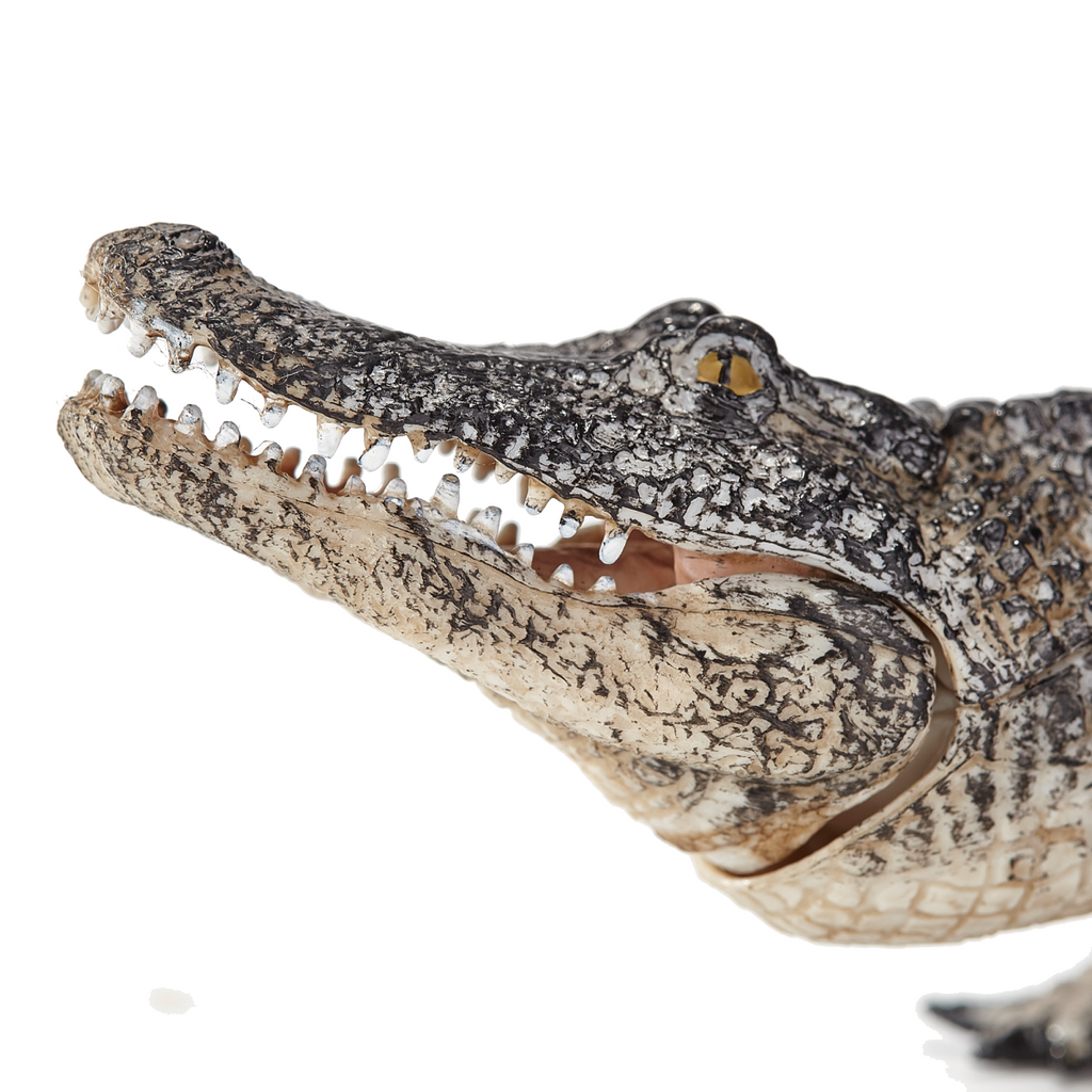 Alligator Toy  Realistic Reptile Figurine