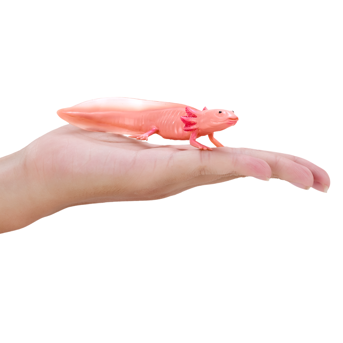 Axolotl Toy  Realistic Amphibian Figurine