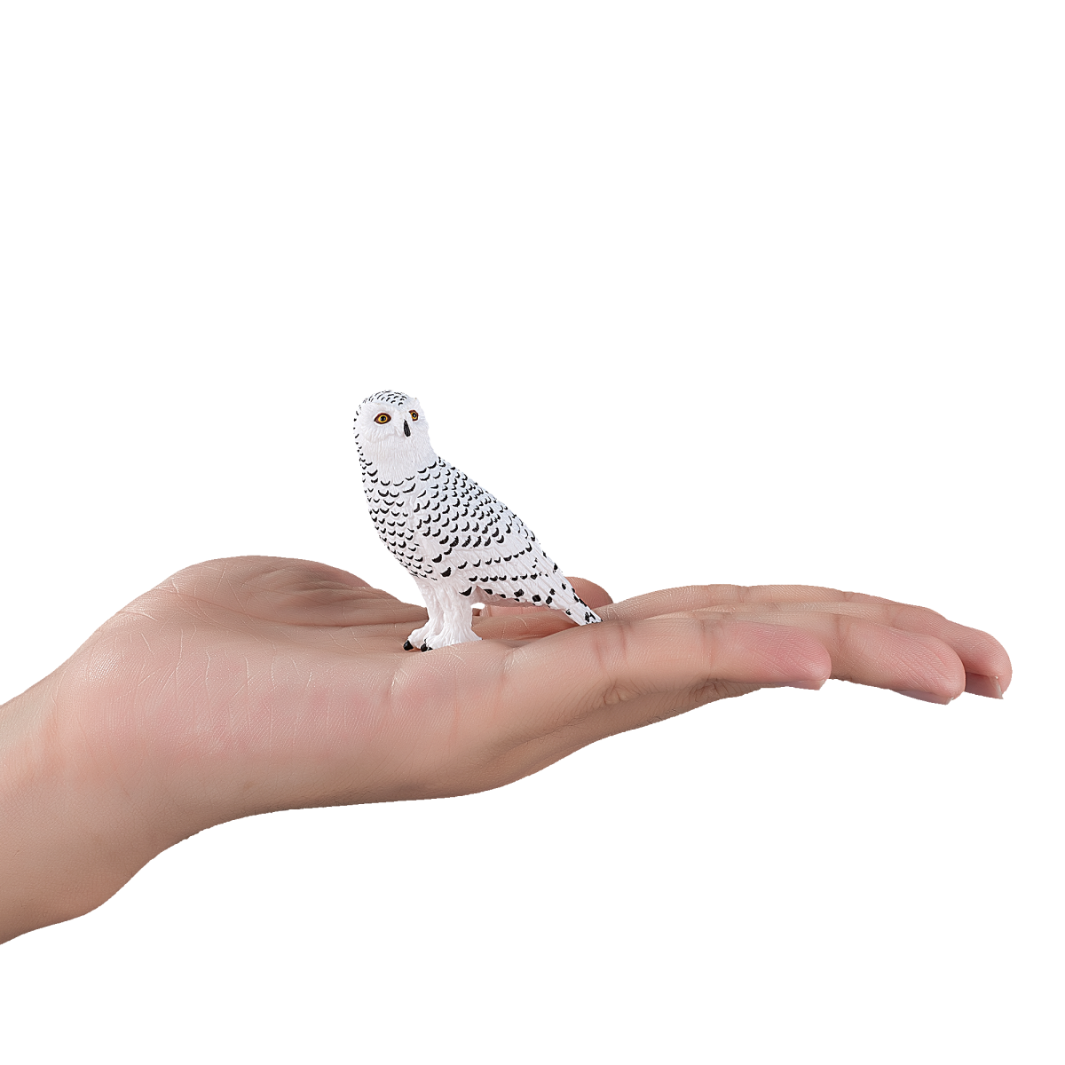 Snowy Owl Toy  Realistic Arctic Bird Model
