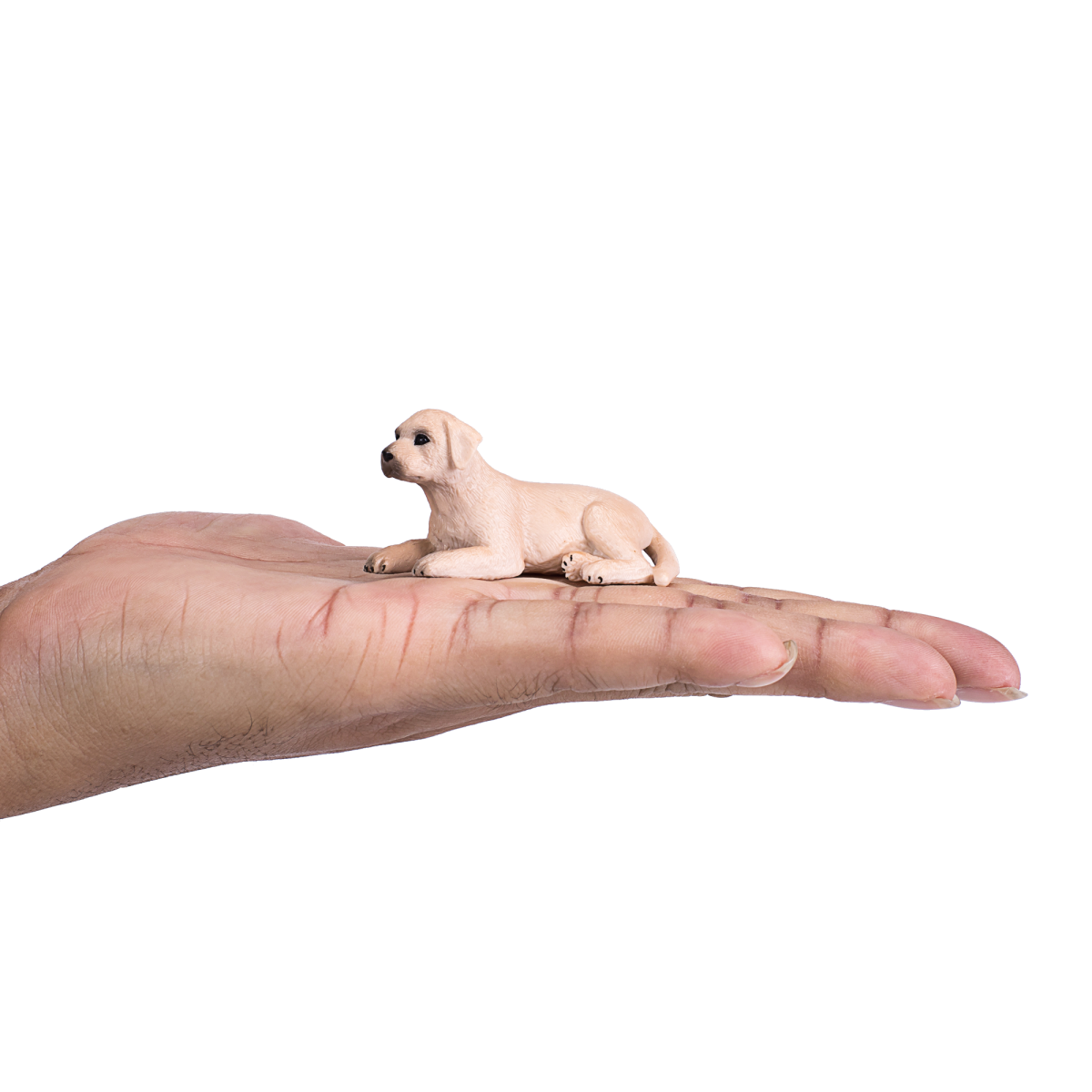 Labrador Puppy Toy  Realistic Pet Dog Figurine